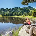 Mountain Arnica Sankt Lorenzen ob Murau