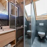 Mountain Arnica * Sankt Lorenzen ob Murau