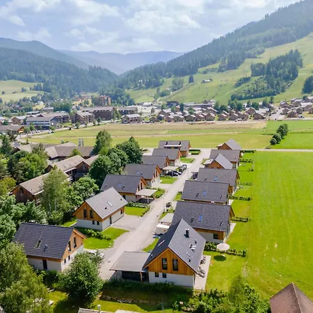 Mountain Arnica 장크트 로렌첸 오프 무라우