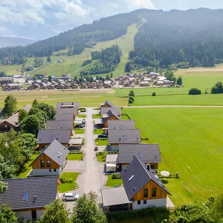 Mountain Arnica * Sankt Lorenzen ob Murau