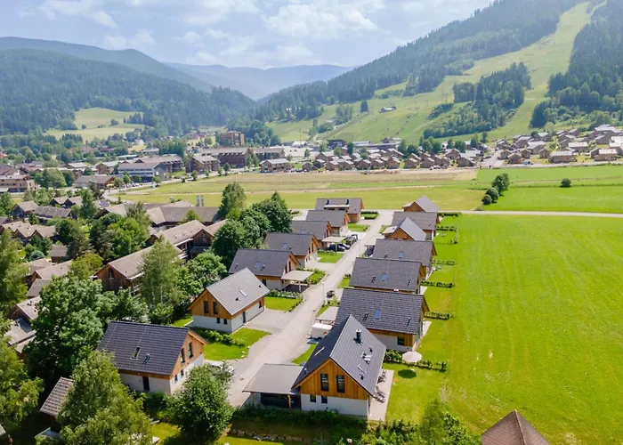 Mountain Arnica Sankt Lorenzen ob Murau