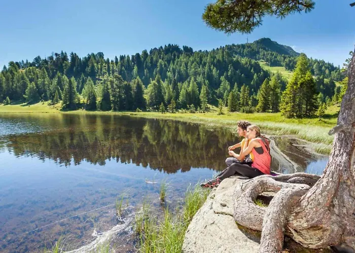 Mountain Arnica Sankt Lorenzen ob Murau