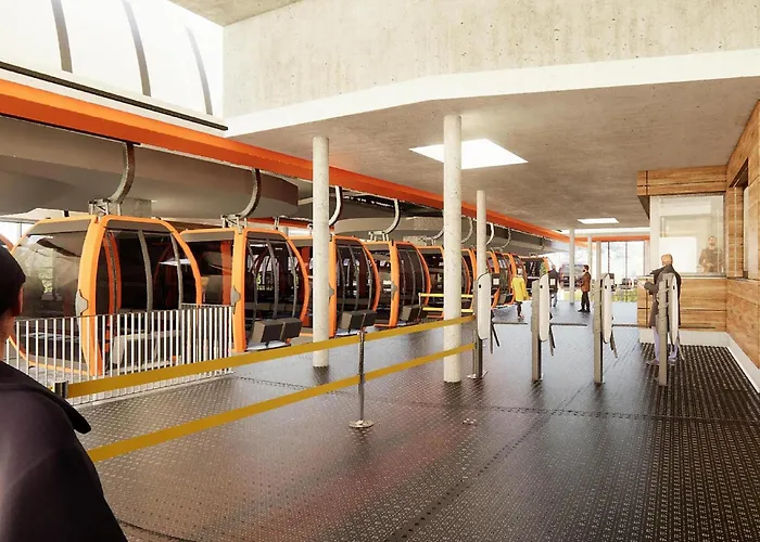 Mountain Arnica * Sankt Lorenzen ob Murau